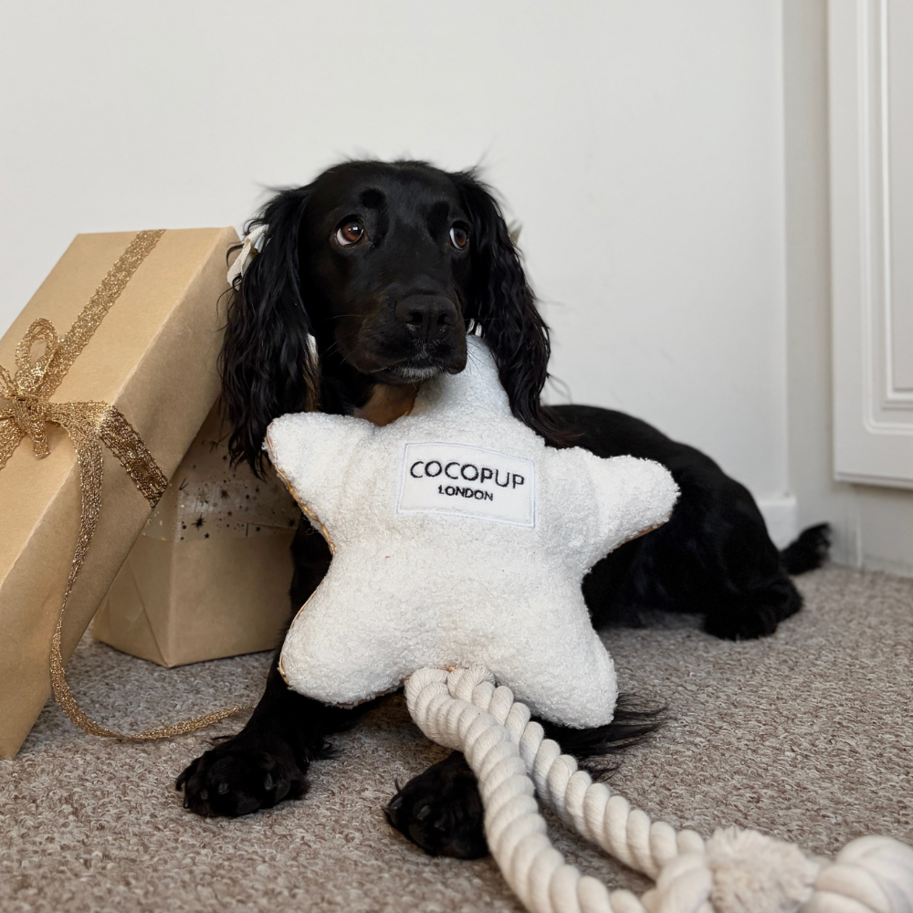 Last-Minute Christmas Gifts for Dogs & Dog Lovers!