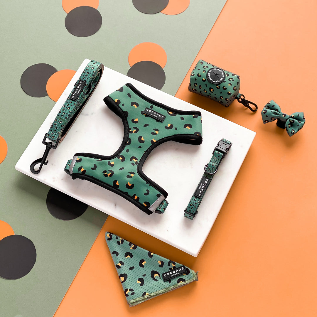 Khaki Leopard