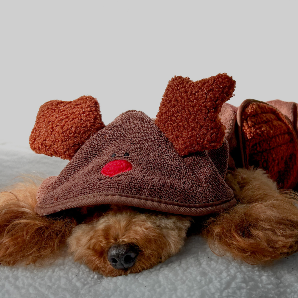 Dog Drying Robes