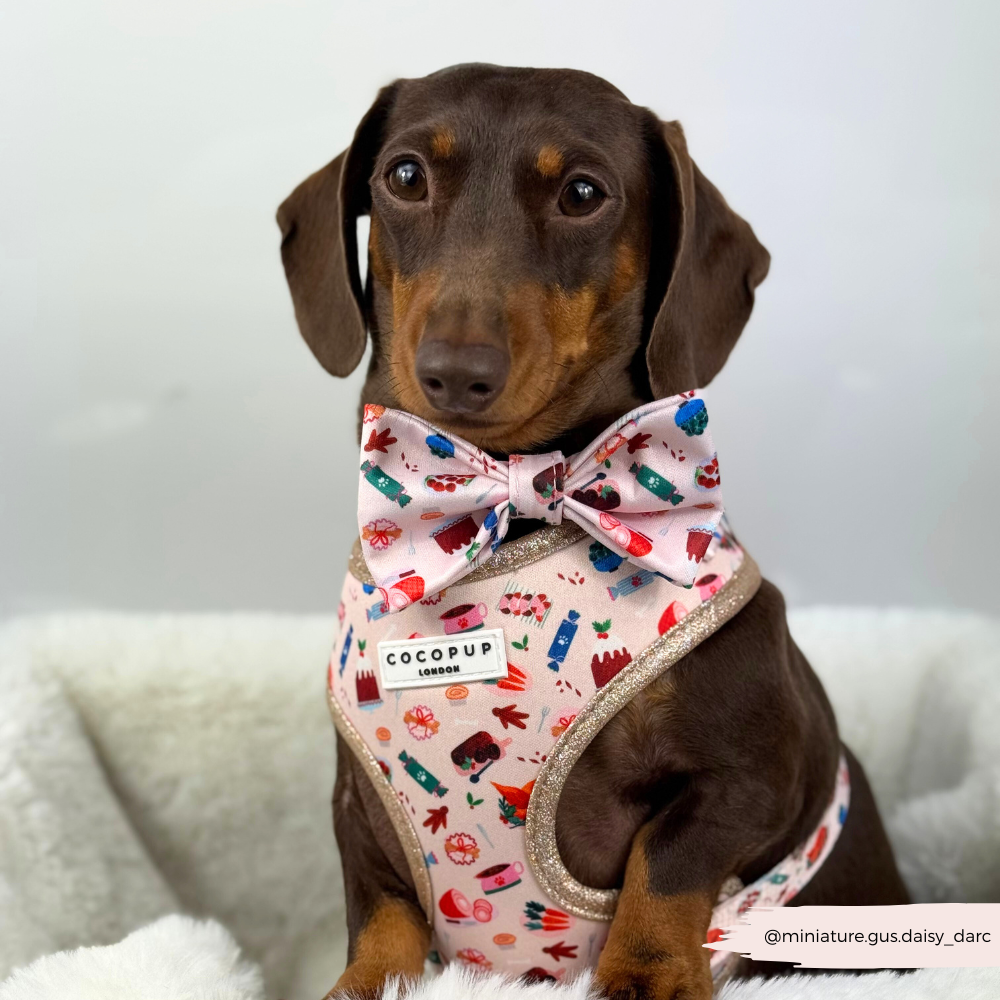 Cracking Christmas Dinner Bow Tie