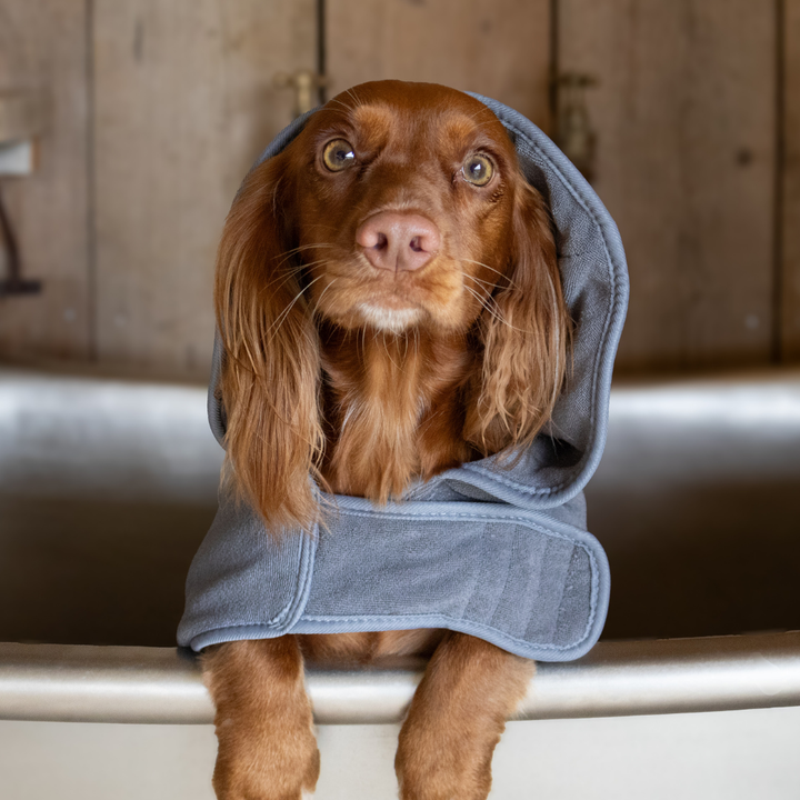 Nelly the Elephant Drying Robe