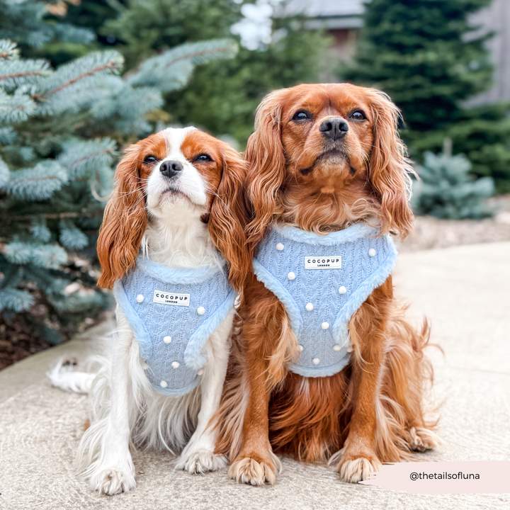 Snowpaws Adjustable Neck HARNESS