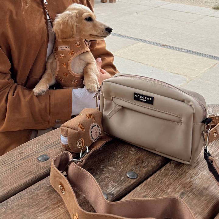 Pawtisserie Adjustable Neck Harness, Lead & Collar Bundle