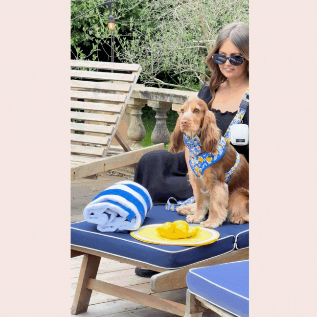PRE-ORDER - Dog Walking Bag Bundle - Amalfi Lemon