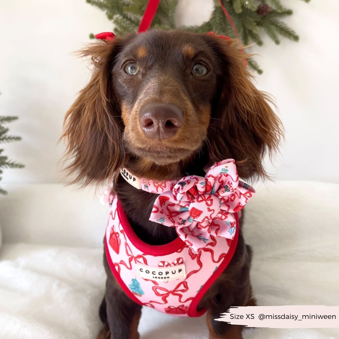 Pupmas Kisses Collar Flower