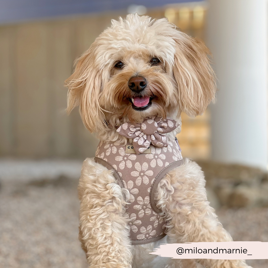 LUXE Mocha Flower Collar Flower