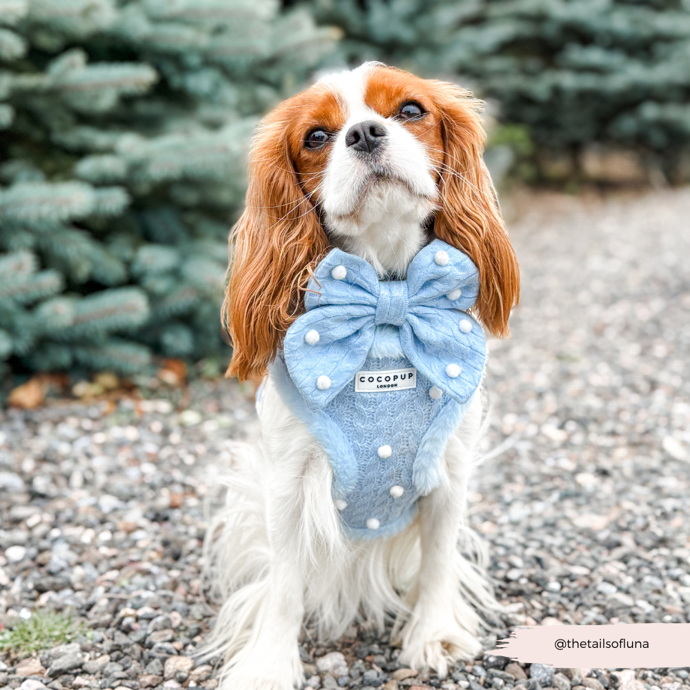 Snowpaws Adjustable Neck HARNESS