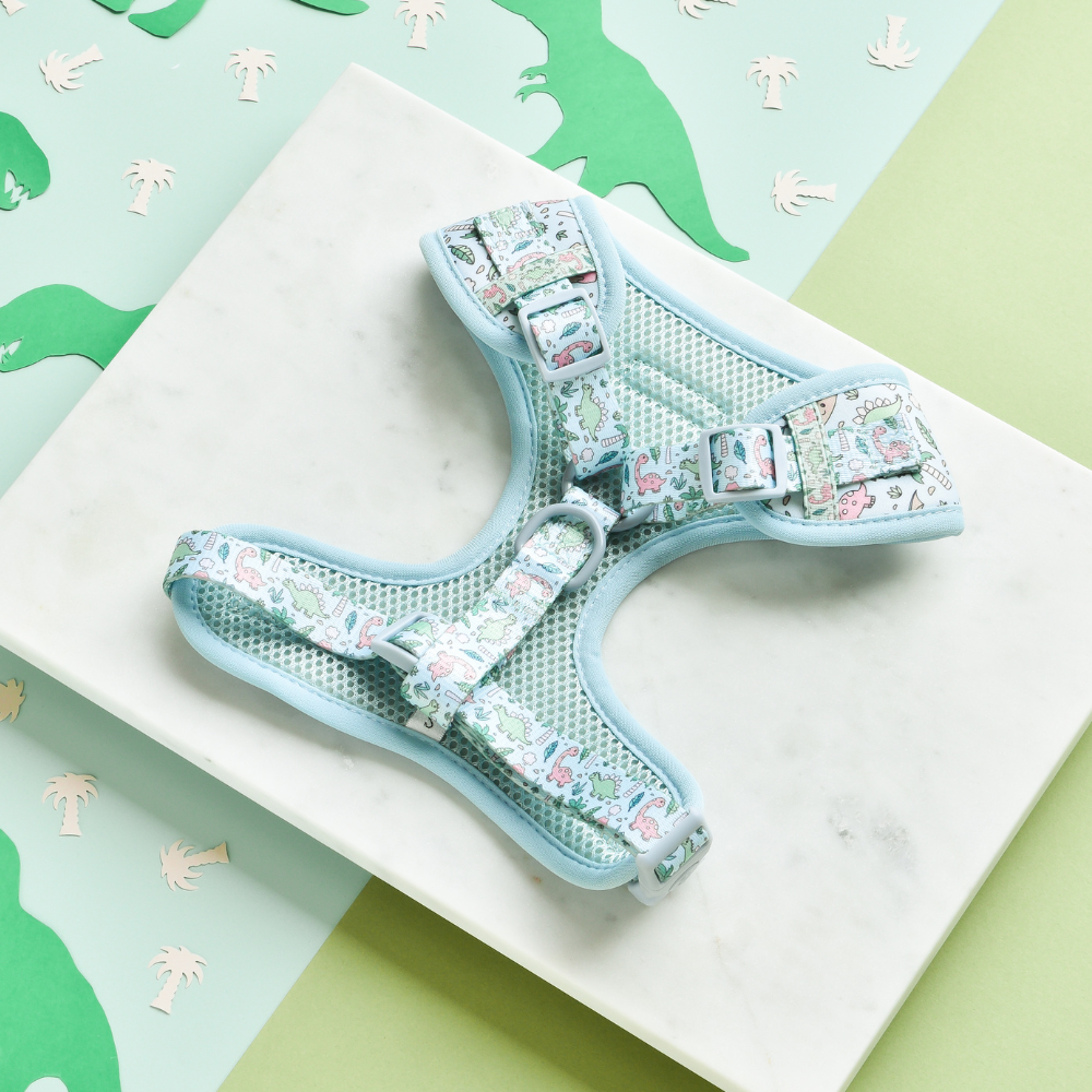 A Cocopup London Dinopaws Adjustable Neck Harness, Lead & Collar Bundle in blue mesh, adorned with pastel-colored dinosaur illustrations, lies on a light green surface with a green dinosaur pattern and small palm trees scattered around it. The harness has adjustable straps and plastic buckles.