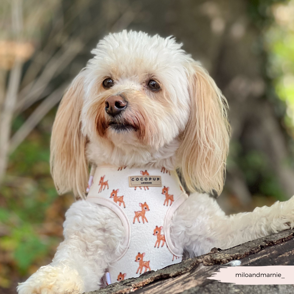 Fleecy Fawn Adjustable Neck Harness, Lead & Collar Bundle