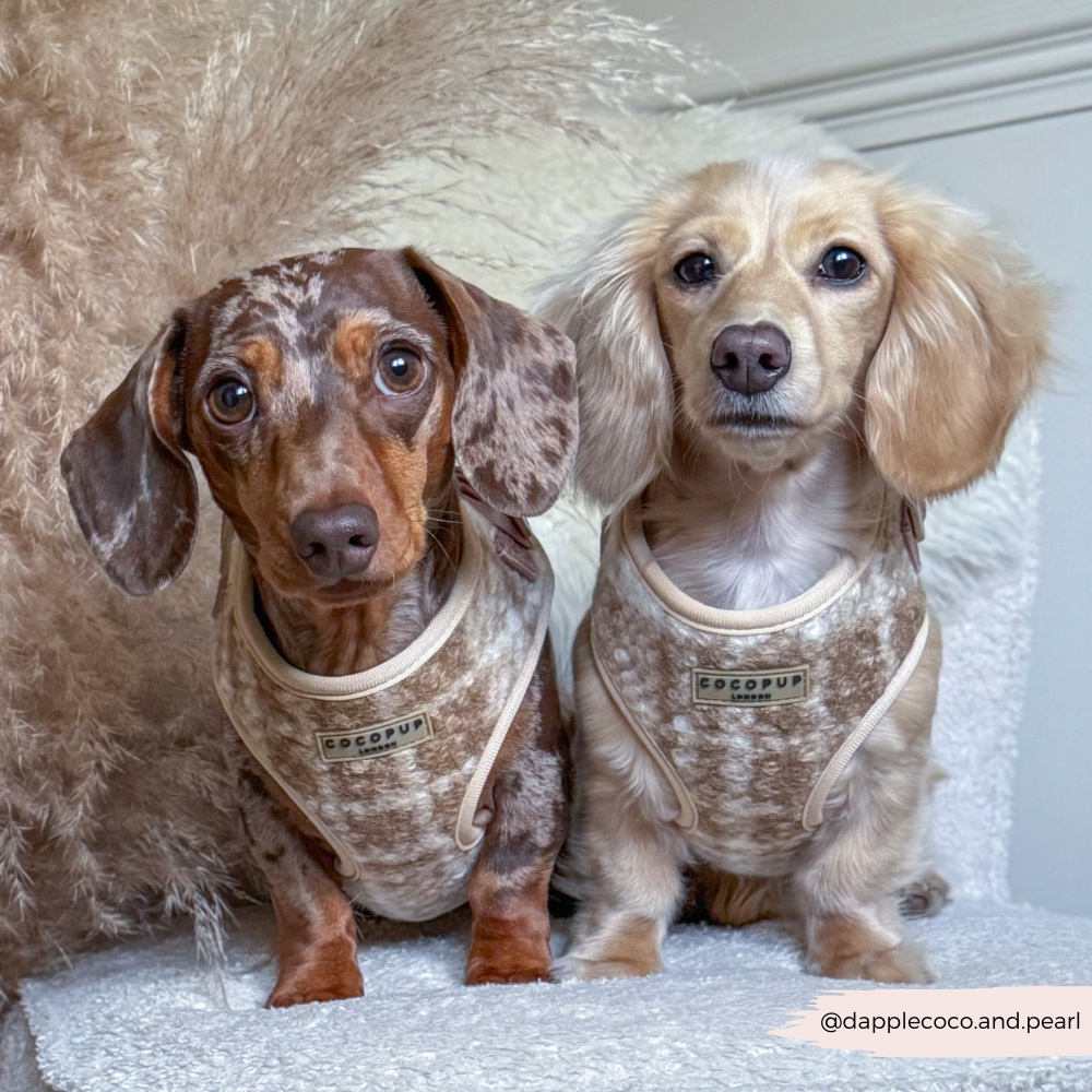 Highland Fleece Adjustable Neck HARNESS - Oatmeal