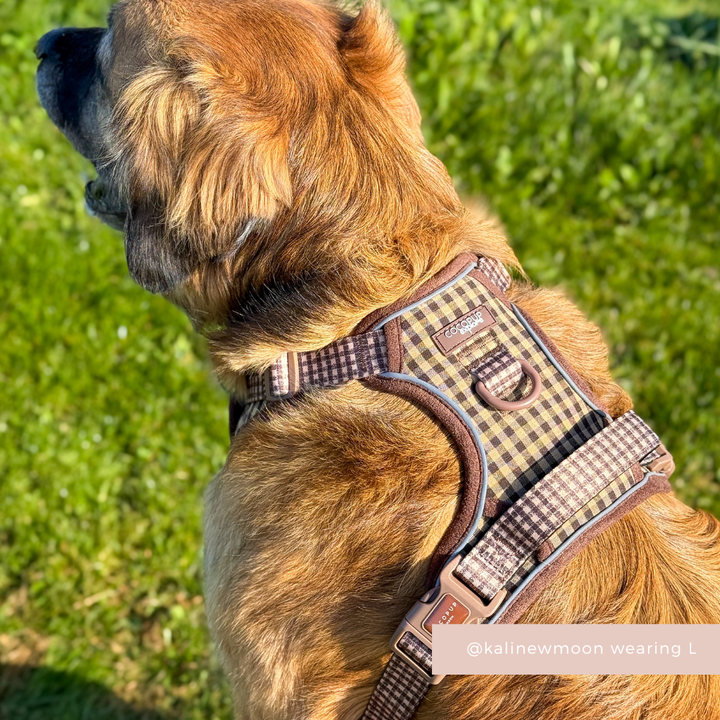 Brown dog wears Cotswold Check Explore Harness by Cocopup London, sitting on grass. Text: @kalinewmoon wearing L.
