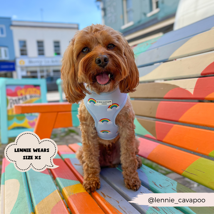 A fluffy brown dog sits on a brightly painted, rainbow-colored bench. The dog, donning a Luxe Adjustable Neck Harness - Over The Rainbow from Cocopup London, looks cheerful with its tongue out. Text bubbles state "Lennie wears size XS" and the Instagram handle "@lennie_cavapoo.”