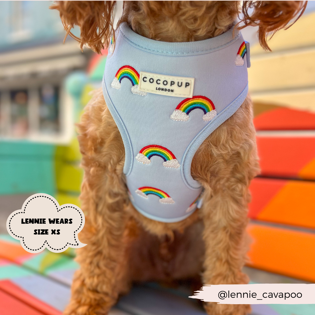 A small dog sits on a colorful wooden bench, wearing the Luxe Adjustable Neck Harness - Over The Rainbow from Cocopup London. The light blue harness, embroidered with rainbows and clouds, proudly displays a "COCOPUP LONDON" label. Text bubbles read, "LENNIE WEARS SIZE XS" and "@lennie_cavapoo".