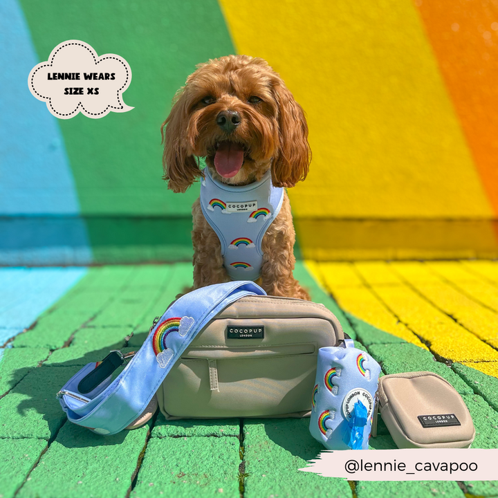 Luxe Poop Bag Holder - Over The Rainbow