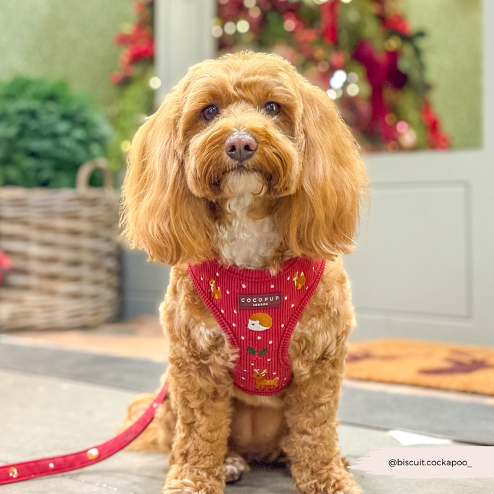 Holly Jolly Trails Adjustable Neck HARNESS