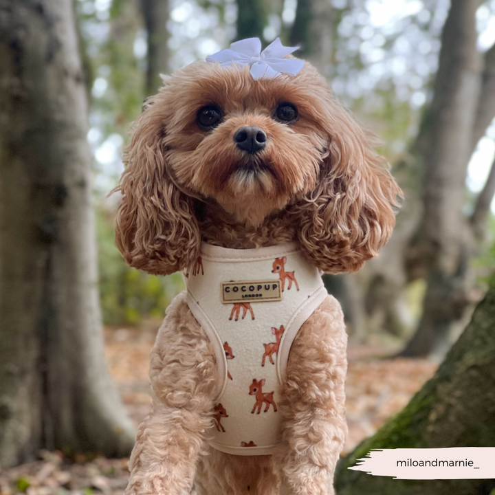 Fleecy Fawn Adjustable Neck Harness, Lead & Collar Bundle