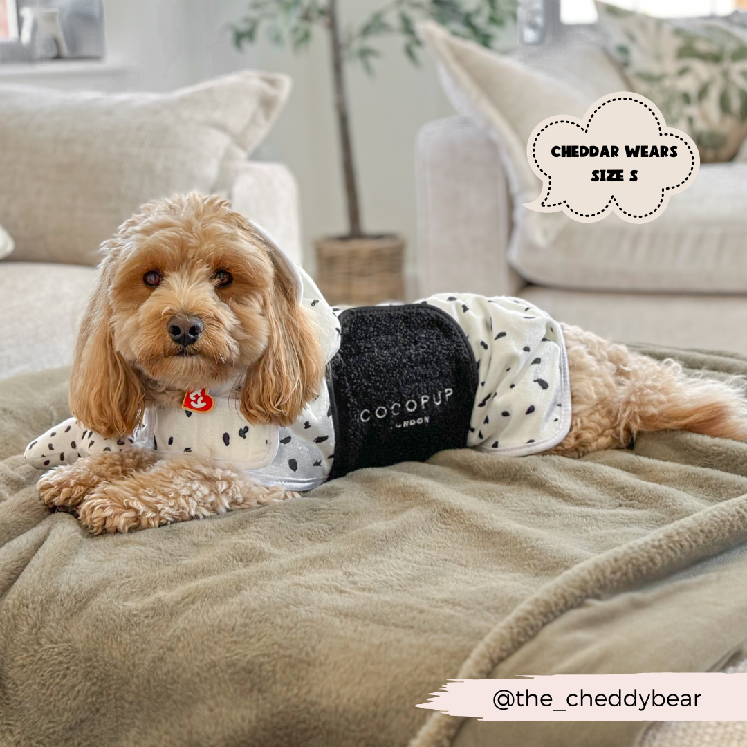 A fluffy dog with light brown fur, wearing a Dalmatian Drying Robe from Cocopup London, rests on a beige blanket. Text on the image reads "Cheddar wears size S." The Instagram handle "@the_cheddybear" appears at the bottom. Check out their collection of dog coats and Premium Microfibre items!