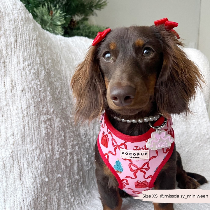 Pupmas Kisses Adjustable Neck Harness