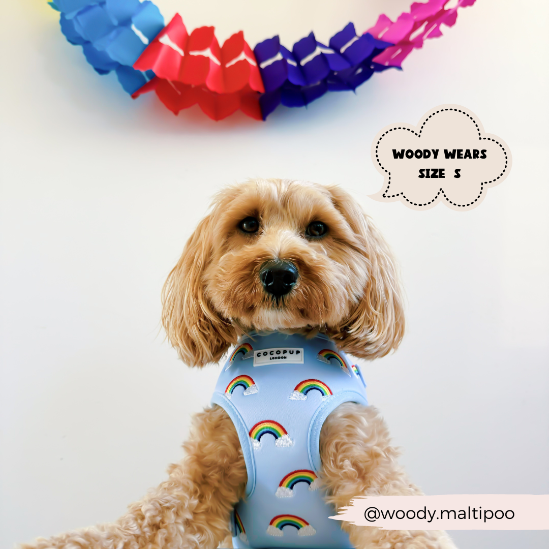 A fluffy dog wearing a fully adjustable Luxe Neck Harness in pastel blue with an embroidered rainbow design stands against a white backdrop with a colorful paper garland above. A speech bubble indicates, "WOODY WEARS SIZE S." The harness is the Over The Rainbow model by Cocopup London. The Instagram handle "@woody.maltipoo" is at the bottom right corner.