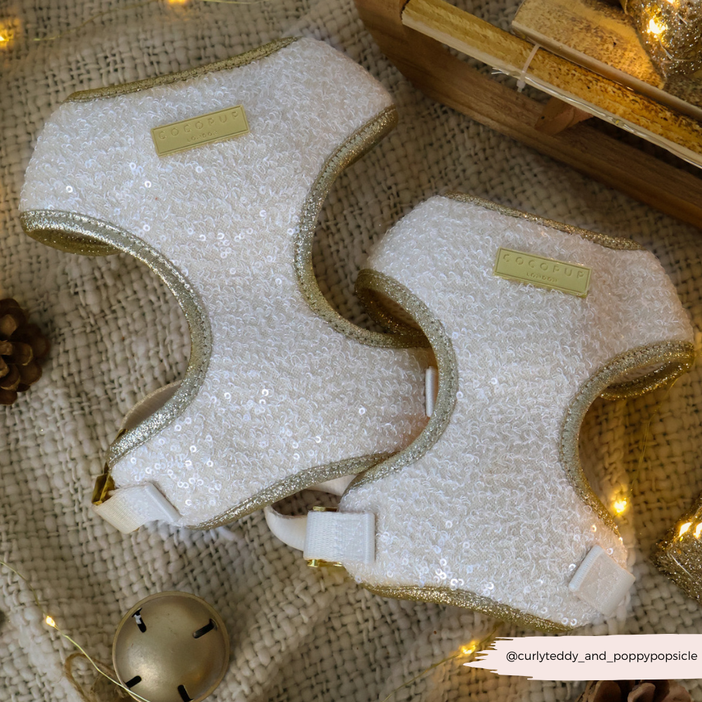 Limited Edition Sparkle Season Gold Adjustable Neck Harness, Lead & Collar Bundle