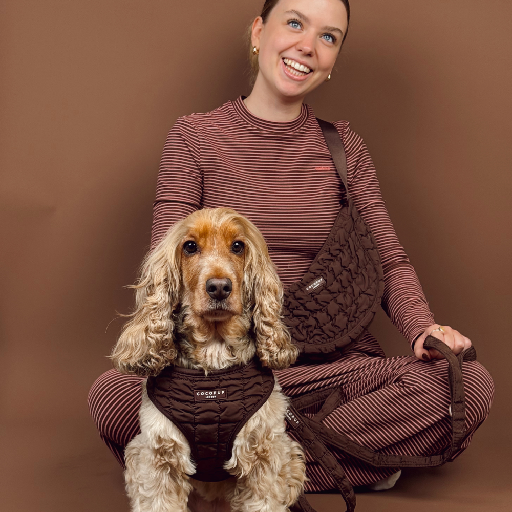 Espresso Quilted Adjustable Neck HARNESS