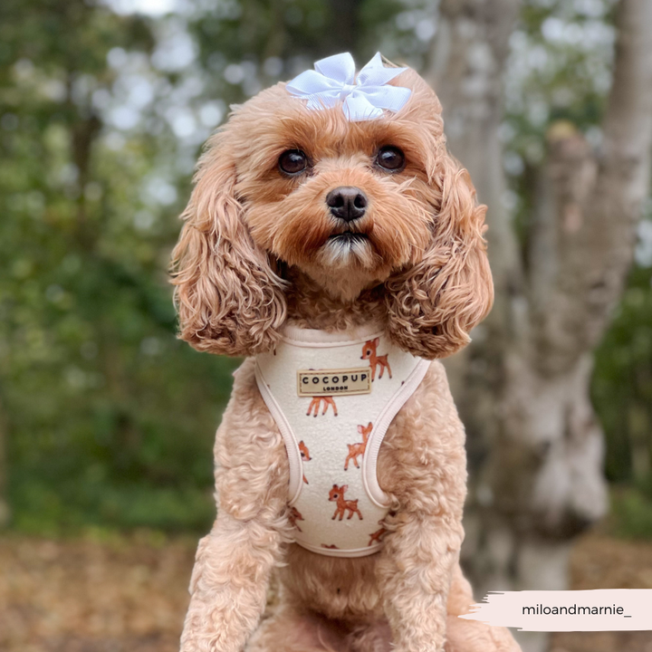 Fleecy Fawn Adjustable Neck Harness, Lead & Collar Bundle