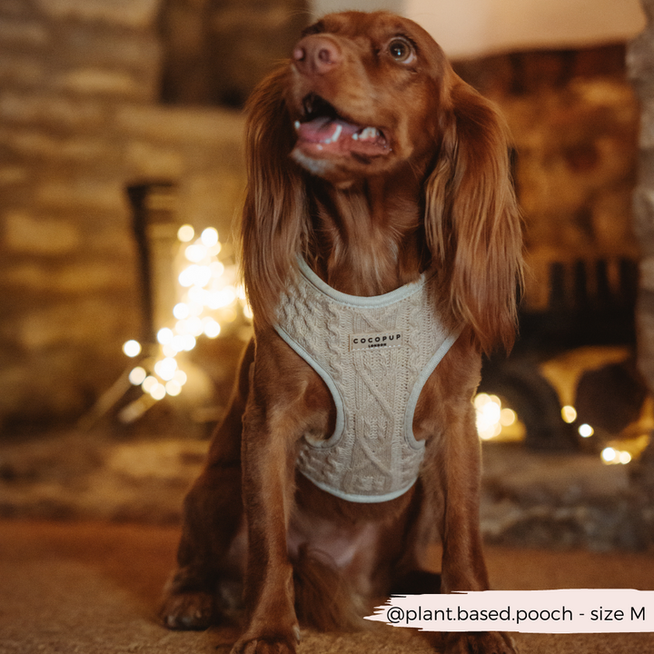 Cable Knit Jumper Adjustable Neck Harness - Toffee Pup Latte