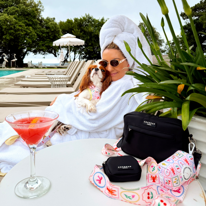 Dog Walking Bag Bundle - Dolce Vita