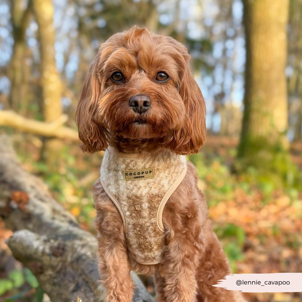 Highland Fleece Adjustable Neck HARNESS - Oatmeal