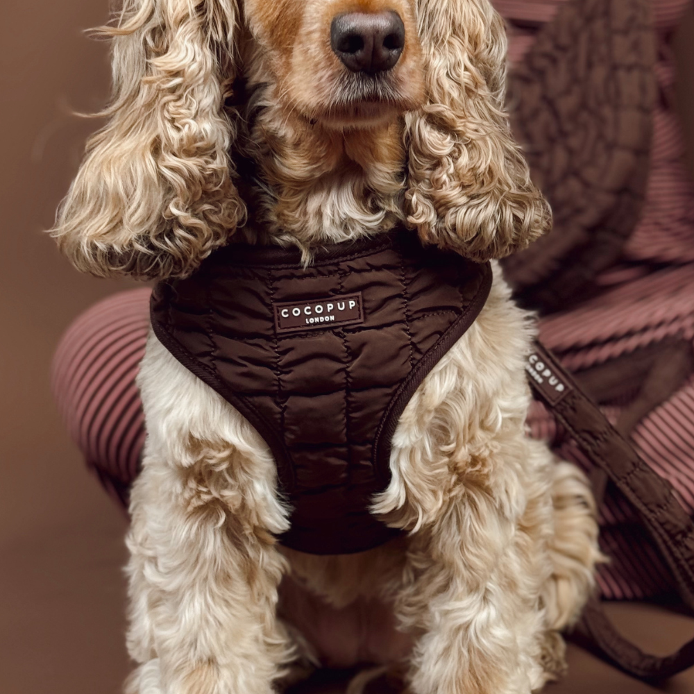 Espresso Quilted Adjustable Neck HARNESS