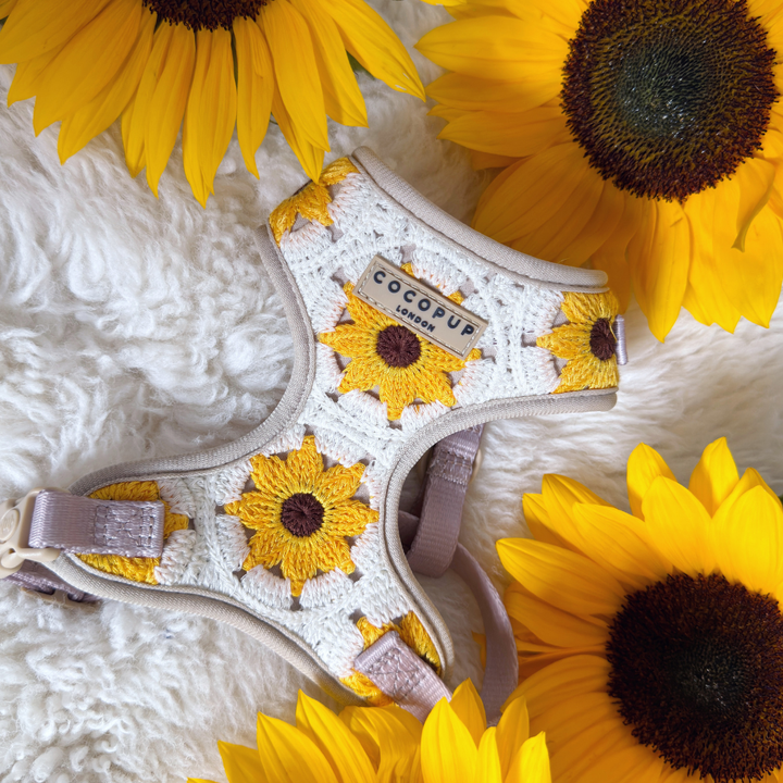 A Cocopup London "Sunflower Patch Adjustable Neck Harness, Lead & Collar Bundle" is laying on a fluffy white surface. Surrounding the harness are vibrant, fully bloomed sunflowers. The adjustable neck harness is primarily white with yellow and brown sunflower designs, perfect for joyful dog walks in style.