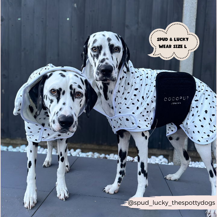 Dalmatian Drying Robe