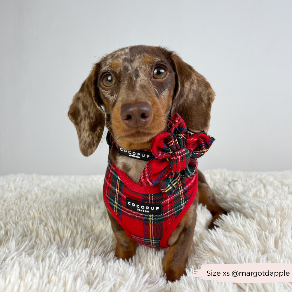 Tartan Adjustable Neck Harness