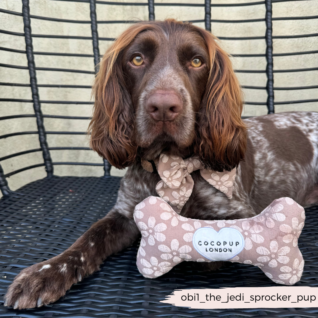 Mocha Flower Bone Toy