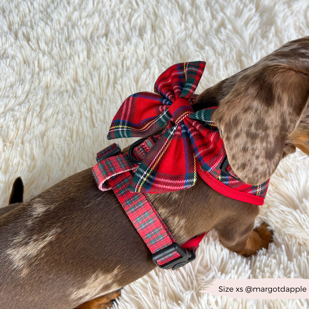 Tartan Adjustable Neck Harness