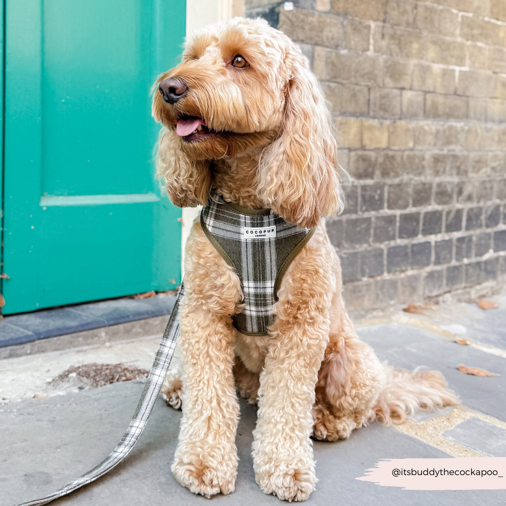 Olive Check Adjustable Neck HARNESS