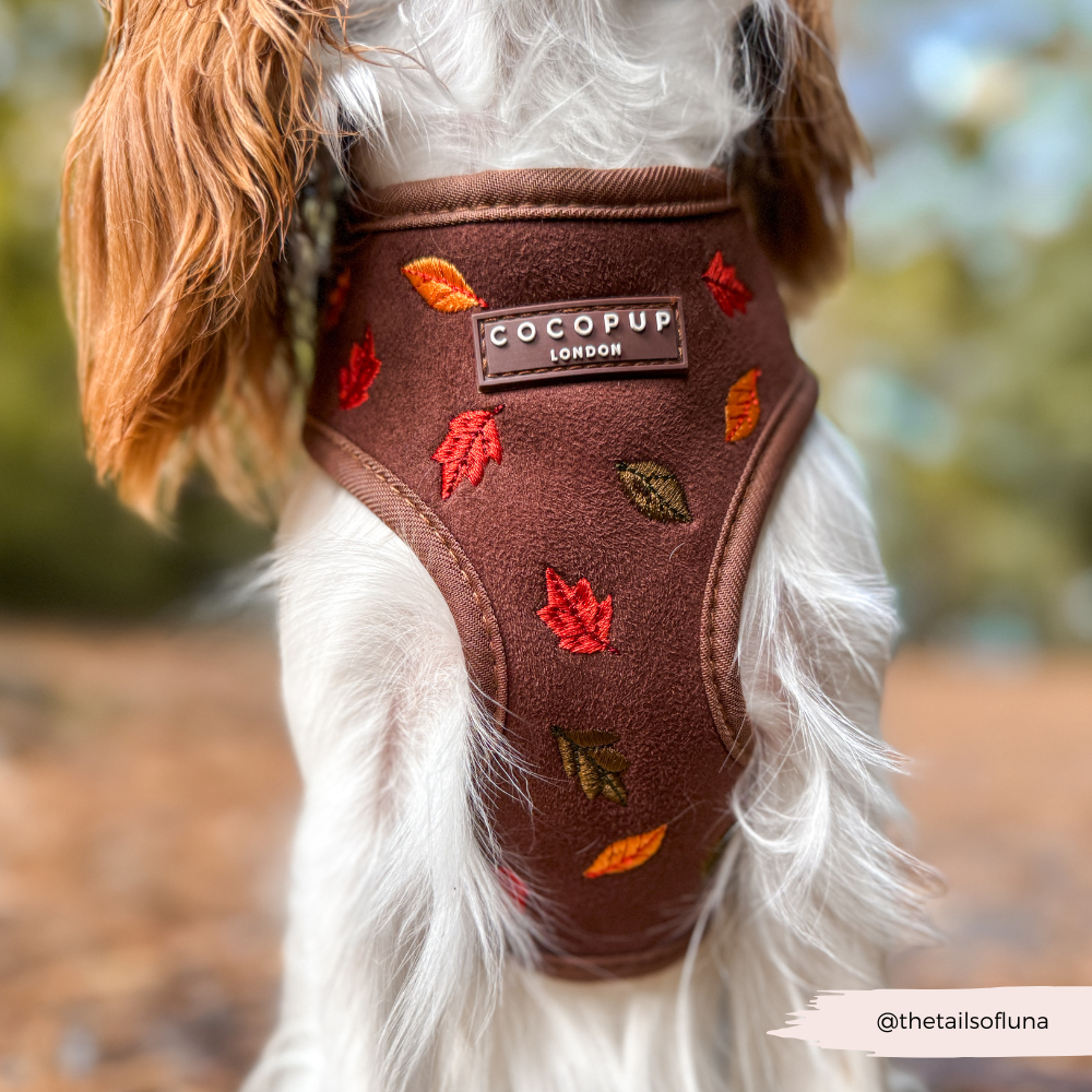 Pawtumn Leaves Adjustable Neck HARNESS