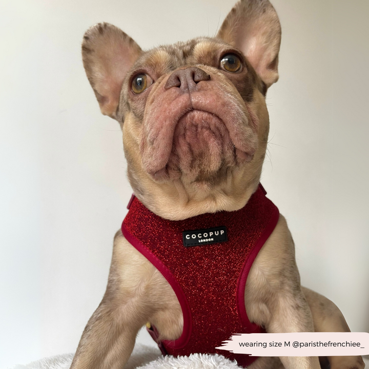 Limited Edition Burgundy Sparkle Pup Adjustable Neck Harness