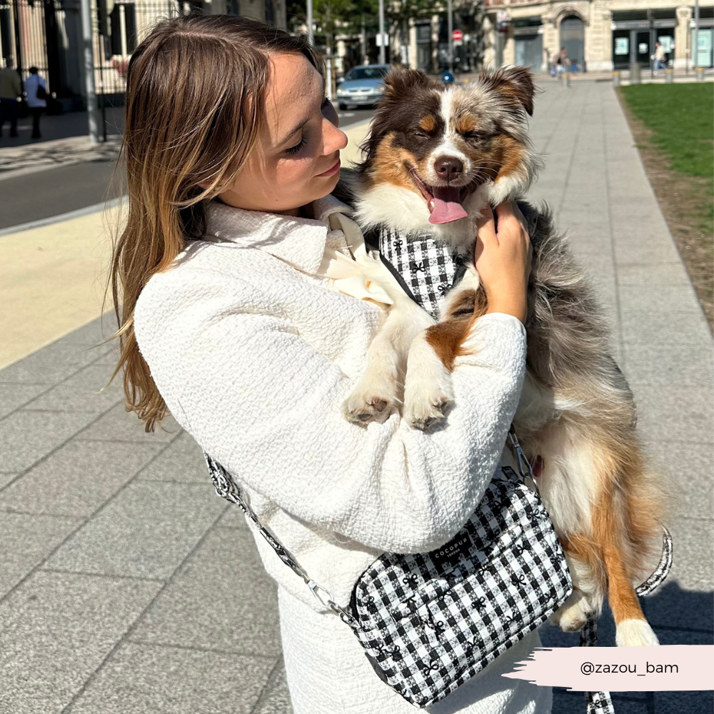 Pup in Paris Adjustable Neck HARNESS