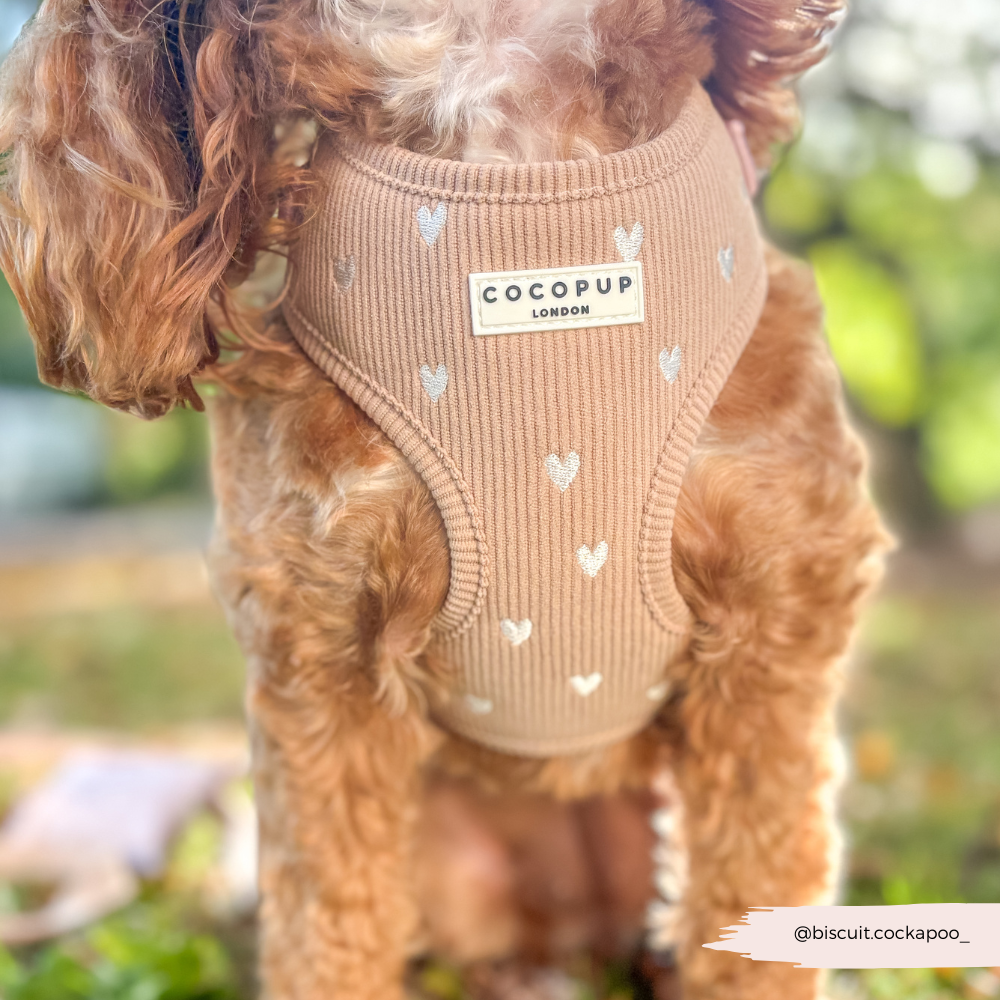 Chai Hearts Adjustable Neck HARNESS