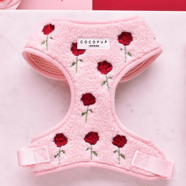 Roses Embroidered Teddy Adjustable Neck Harness