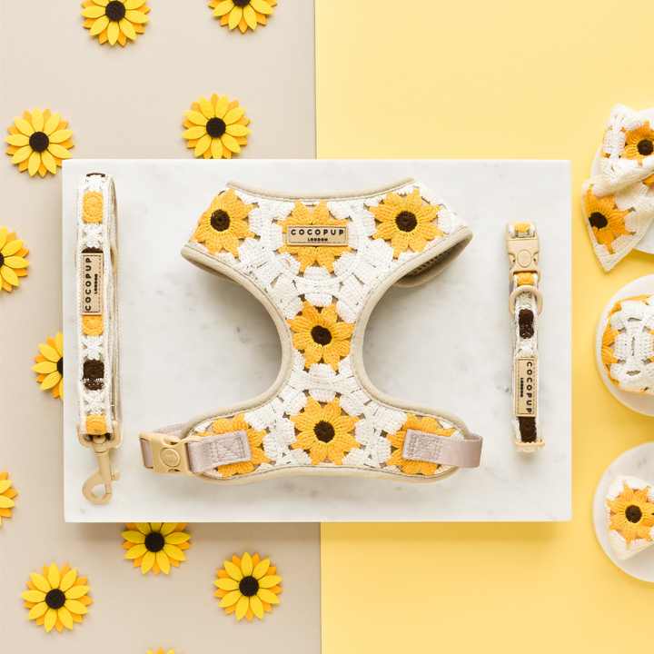 A flat lay photo of dog accessories from Cocopup London featuring their Sunflower Patch Adjustable Neck Harness, along with a matching leash, collar, and bow tie on a yellow and white background. The items are arranged neatly around fake sunflowers, perfectly complementing the theme.