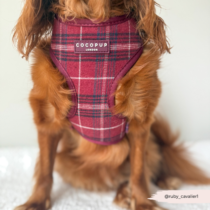 Mulberry Plaid Adjustable Neck HARNESS