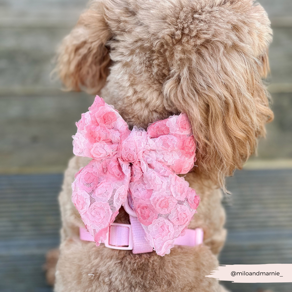 Peony Pup Sailor Bow Tie