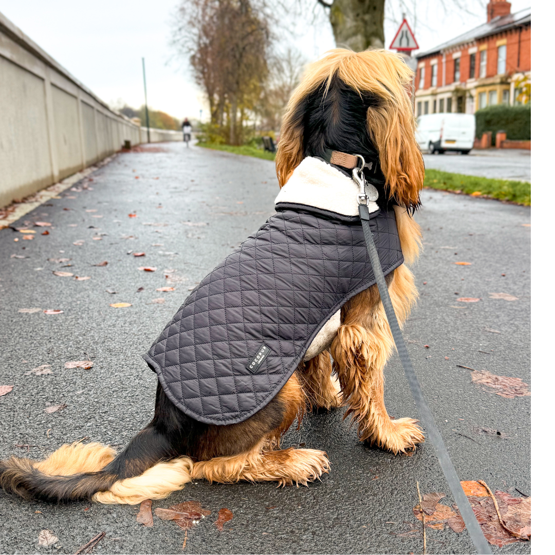 LUXE Quilted Dog Coat - Midnight Black