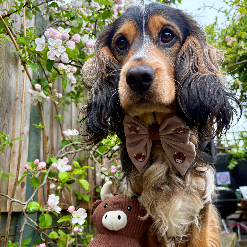 Harold the Highland Cow Toy