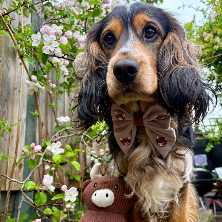 Harold the Highland Cow Toy