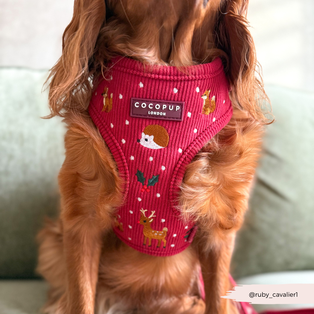 Holly Jolly Trails Adjustable Neck HARNESS