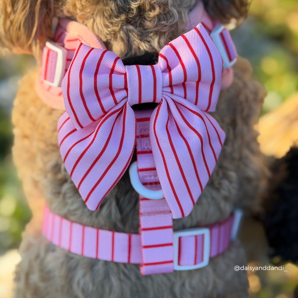Candy Stripe Sailor Bow Tie