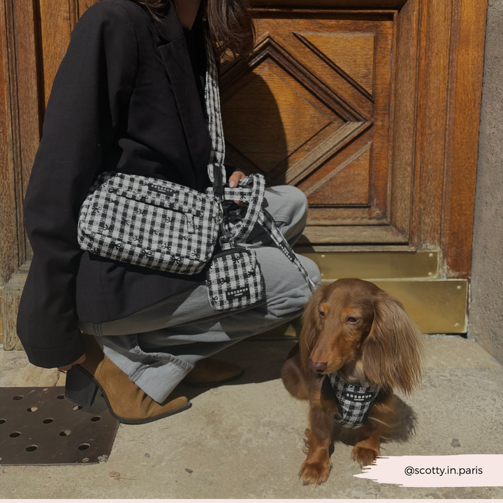 Treat Pouch - Pup in Paris